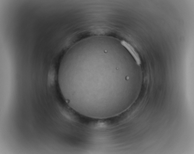 X0000114490647200910191232