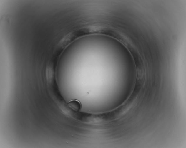X0000114490648200910191232