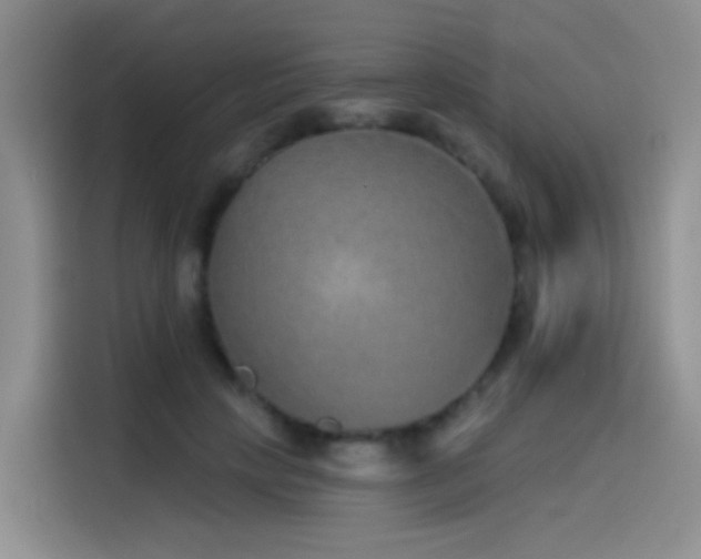X0000114490649200910191232