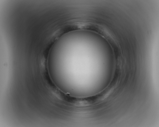 X0000114490650200910191232