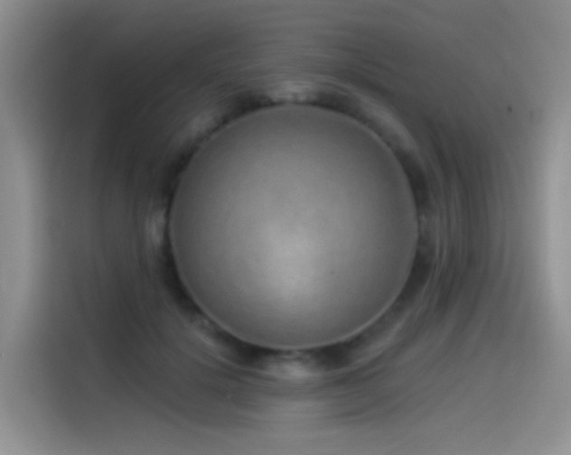 X0000114490652200910191232