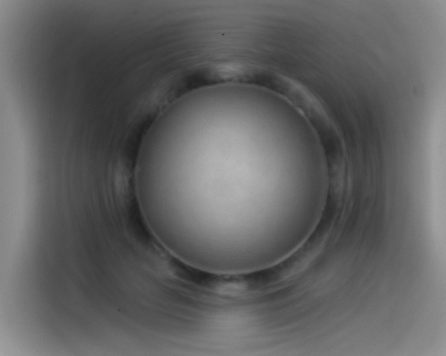X0000114490653200910191232