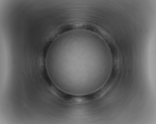 X0000114490654200910191232