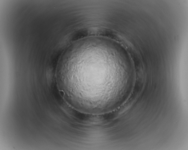 X0000114490659200910191232