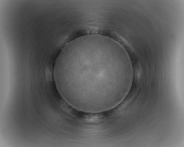X0000114490661200910191232