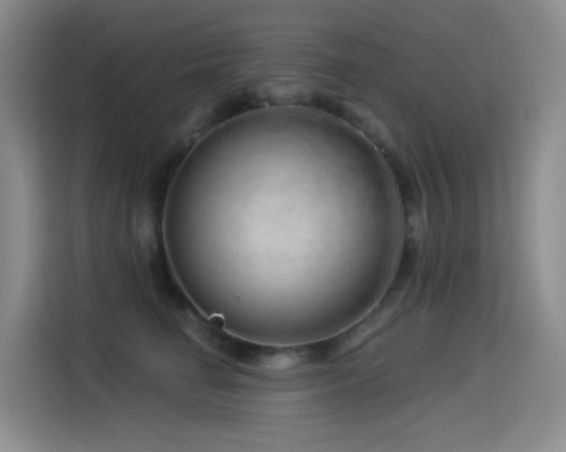 X0000114490662200910191232