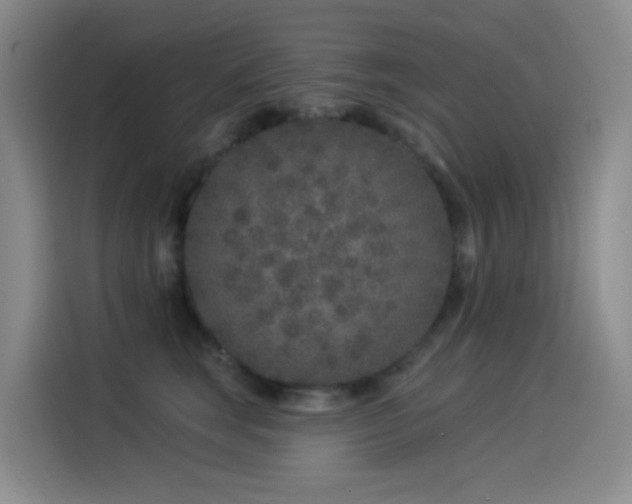 X0000114490663200910191232