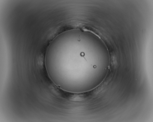X0000114490664200910191232