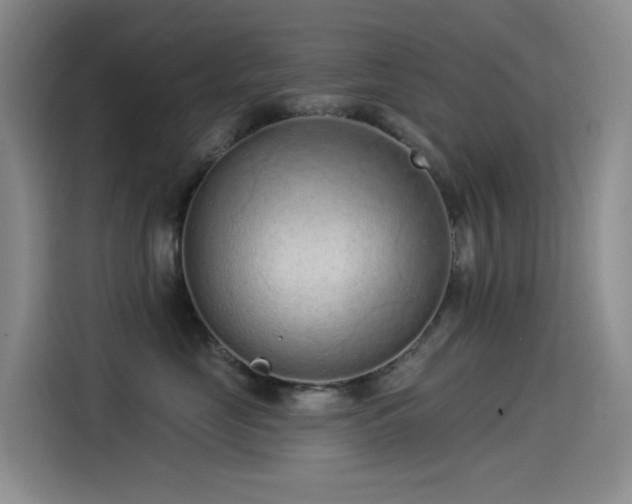 X0000114490669200910191232