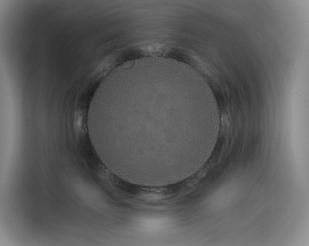 X0000114490671200910191232