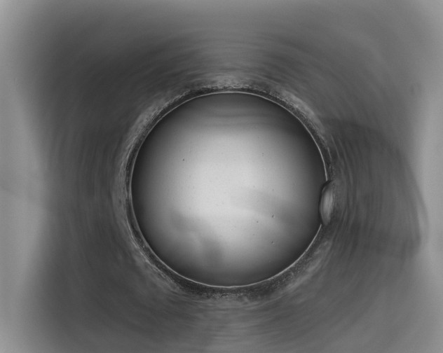 X0000114490673200910191231