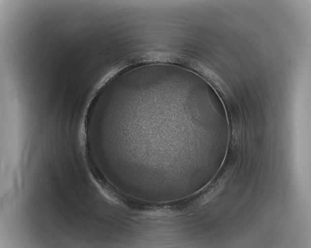 X0000114490674200910191231