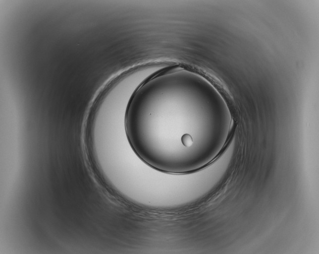 X0000114490676200910191231