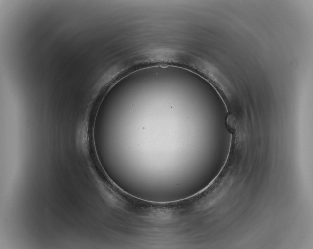 X0000114490677200910191231