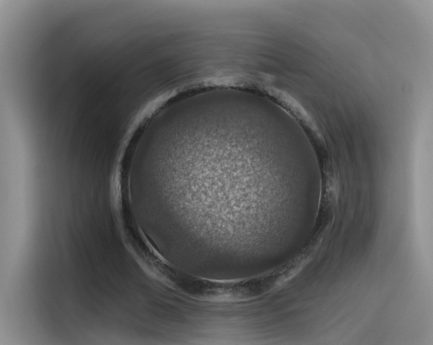 X0000114490678200910191231