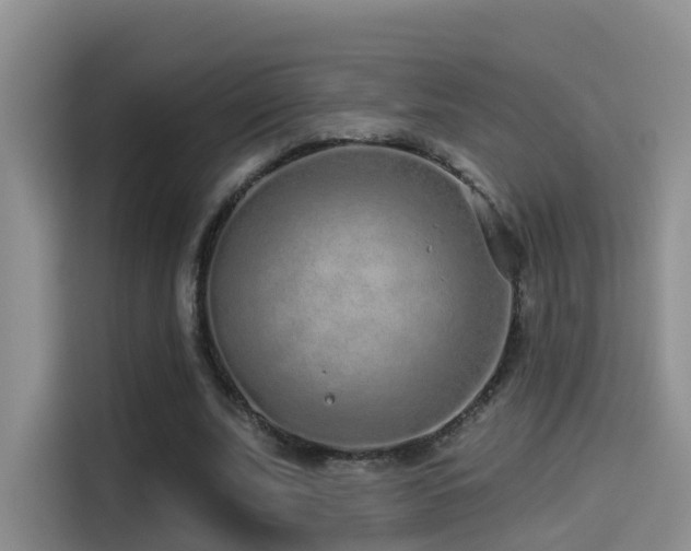 X0000114490679200910191231