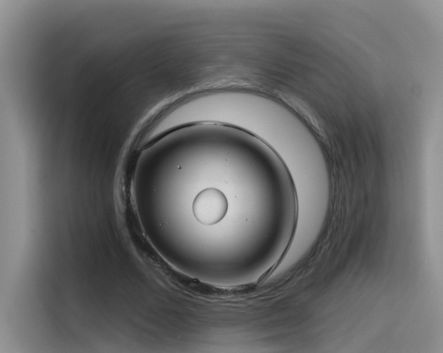 X0000114490680200910191231