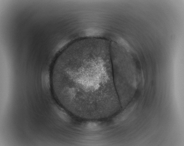 X0000114490684200910191231
