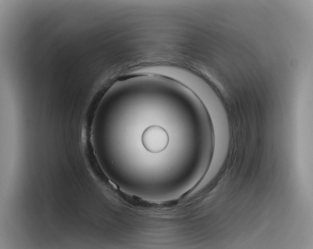 X0000114490685200910191231