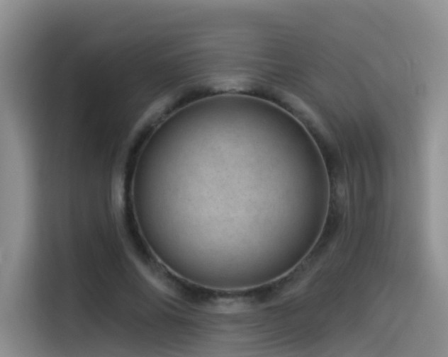 X0000114490686200910191231