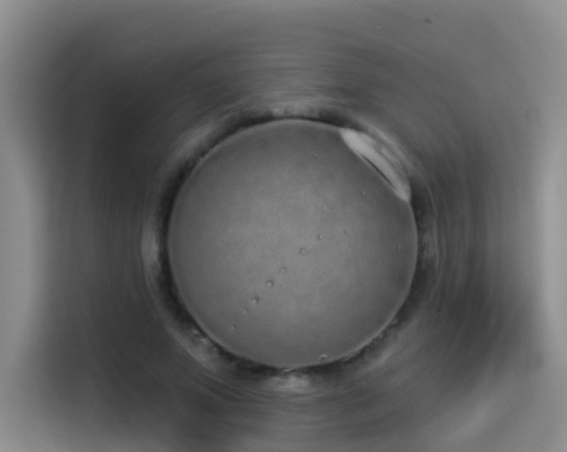 X0000114490687200910191231