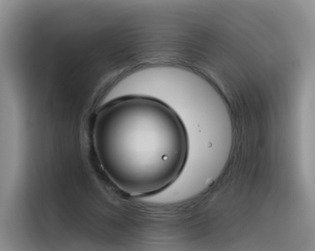 X0000114490688200910191231