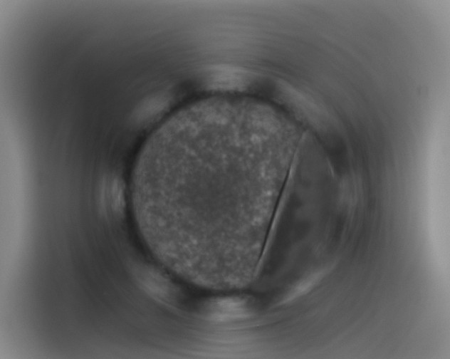 X0000114490692200910191231