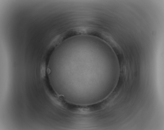 X0000114490694200910191231