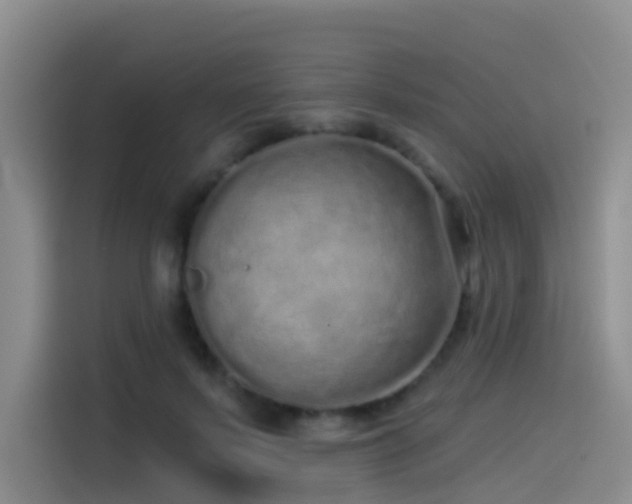 X0000114490695200910191231