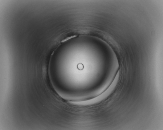 X0000114490697200910191231