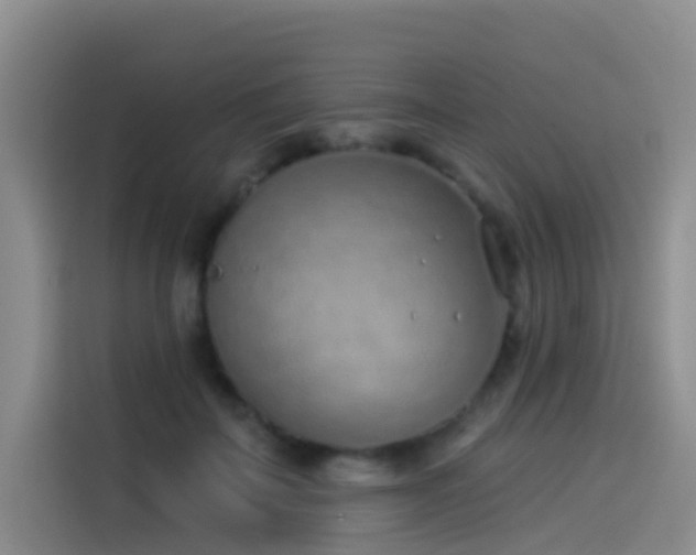 X0000114490699200910191231