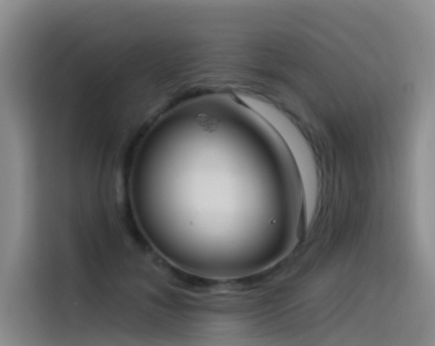 X0000114490700200910191231