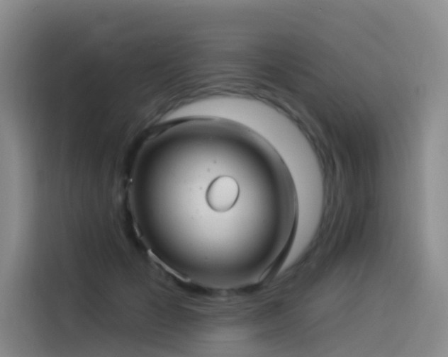 X0000114490701200910191231