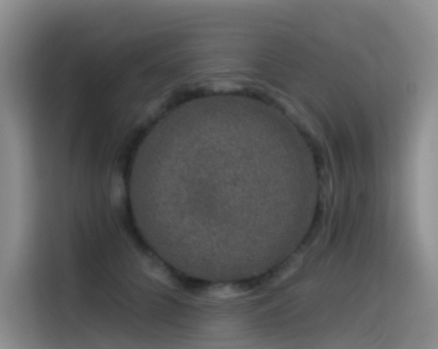 X0000114490704200910191231