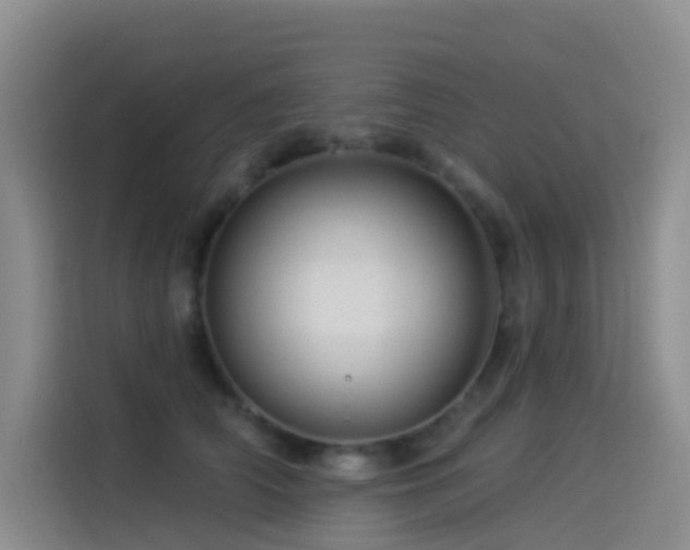 X0000114490706200910191231