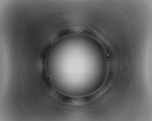 X0000114490707200910191231