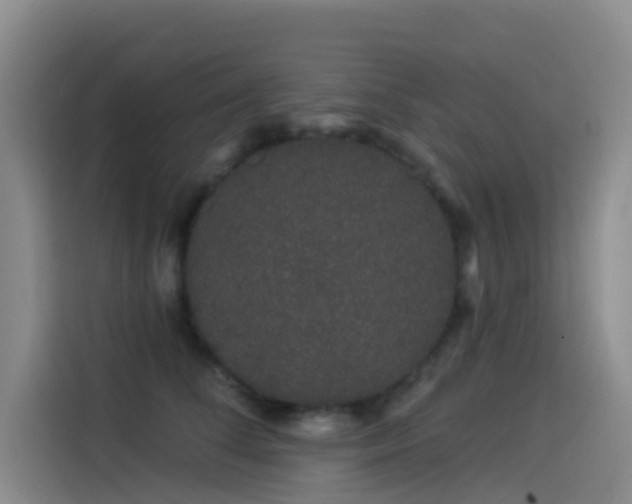 X0000114490708200910191231