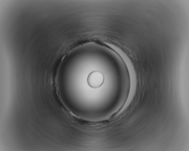 X0000114490709200910191231