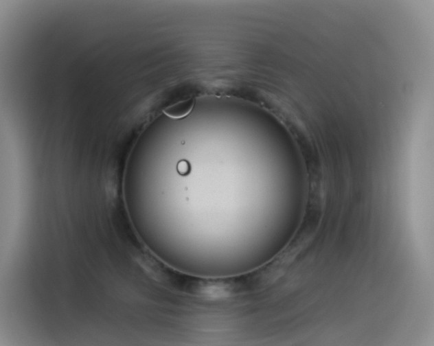 X0000114490710200910191231