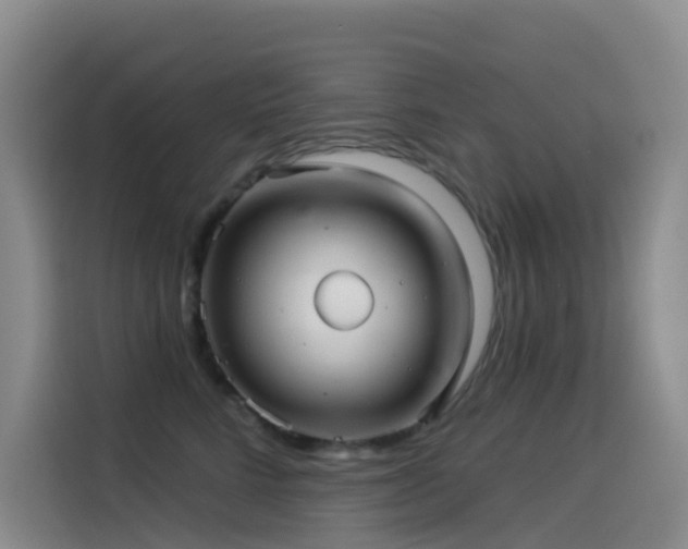 X0000114490712200910191231