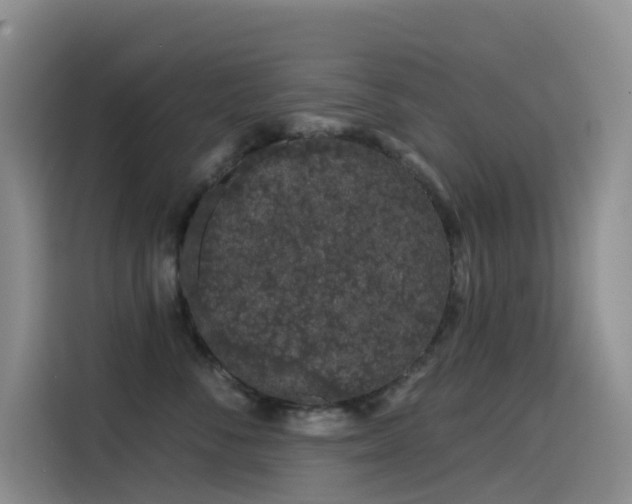X0000114490716200910191231
