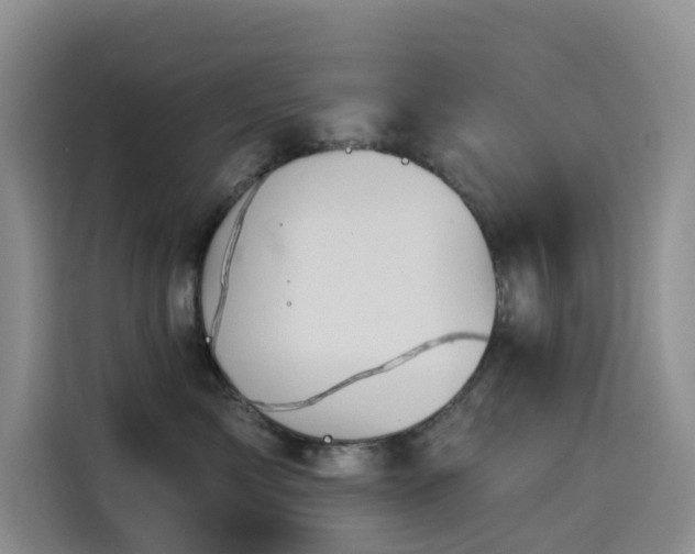 X0000114490717200910191231