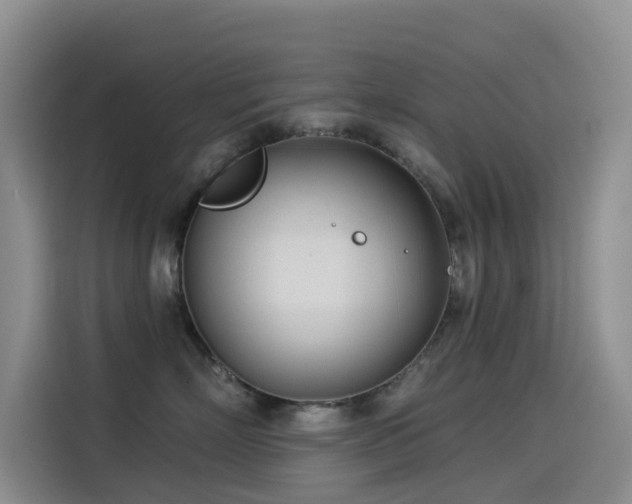 X0000114490718200910191231