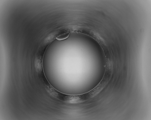 X0000114490719200910191231