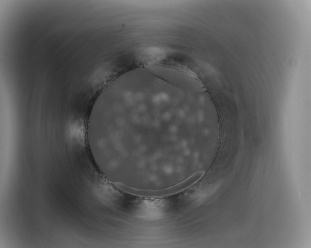 X0000114490720200910191231