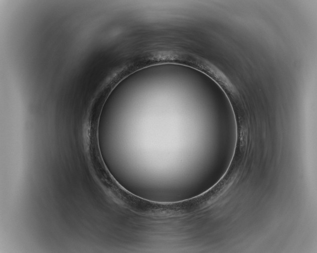 X0000114490722200910191230