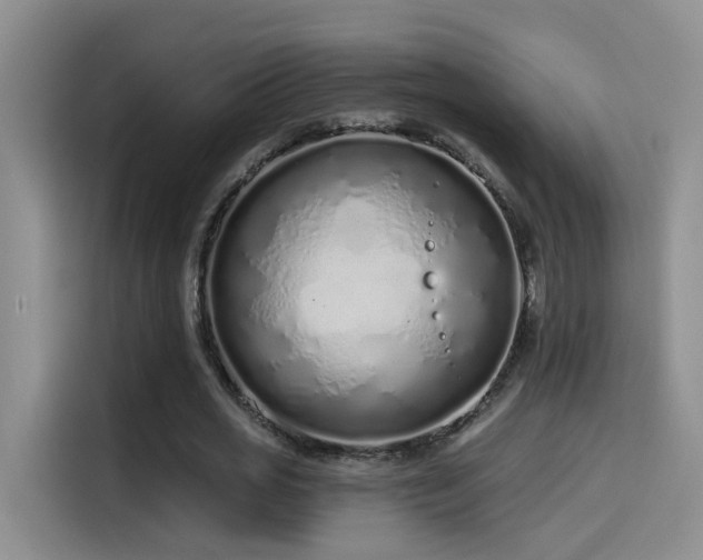 X0000114490725200910191230