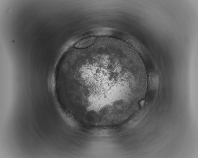 X0000114490726200910191230