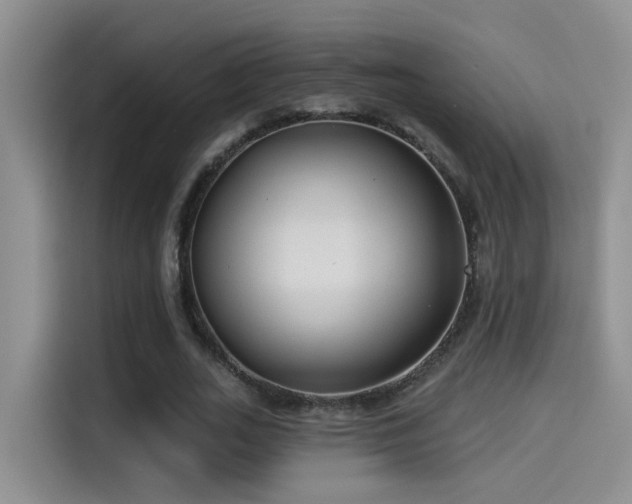 X0000114490727200910191230