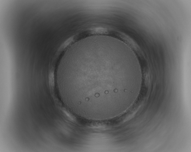X0000114490729200910191230